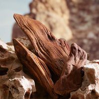 K BY DOLCE & GABBANA PARFUM 100ml-228363 K BY DOLCE & GABBANA PARFUM 100ml-228363 5